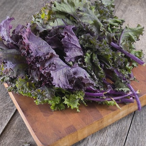 Red Russian Kale Seeds, Heirloom Non-GMO Kale, Organic Vegetables, Healthy Greens, Gardening Seeds, Homestead Planting