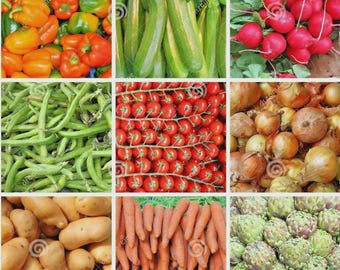 150+ Heirloom Vegetable Seed Collection, 6 Variety Set NON-GMO Seeds, Home Garden