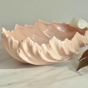 May include: A light pink ceramic seashell-shaped bowl with a white accent. The bowl has a wavy, textured design and is likely used for decorative purposes or serving. A few leaves are visible in the background.