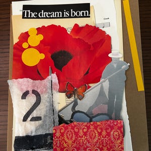 Pacote de colagem, kit de colagem, ideia de festa, presente, kit de itens efêmeros, página de livro vintage, recortes exigentes, recorte, arte alterada, presente de inauguração de casa, decoração