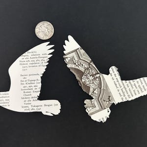 8 Vintage Vögel aus Papier, große Ausschnitte, Vogelkunst, Vintage Vögel, Vintage Vogel Ephemera, Vogelcollage, Vintage Ausschnitte, altes Papier