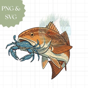May include: A digital illustration of a fish with orange and brown scales, eating a blue crab. The fish has a detailed design with fins and a tail. The image includes the text "PNG & SVG" in a green shape.