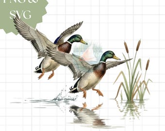 Imágenes prediseñadas de ánades reales en acuarela: diseño vintage de caza de patos (SVG y PNG)
