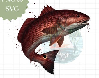 SVG de corvina roja: Clip art de pesca de corvina roja (descarga digital)