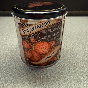 Vintage Strawberry Fields Mid-Summer Plants & Seeds Collectable Farmhouse Tin