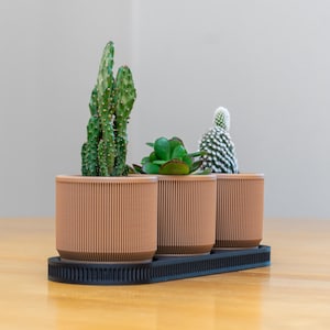 May include: Three small potted plants, including cacti and succulents, sit in terracotta-colored pots with vertical ribbed detailing. The pots are arranged on a black, rectangular tray with a textured edge, suitable for a desk or windowsill.