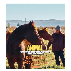May include: Two brown horses stand in a field with a person. The image has text that reads "ANIMAL COMMUNICATION READING Detailed & Accurate via Zoom."