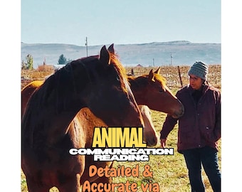Animal Communication Reading • 5 Questions • Pet Psychic Insight & Connection