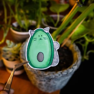 AvoCato Sticker - a Cat in shape of and Avocado sticker