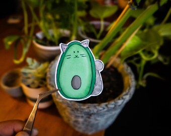 AvoCato Sticker - a Cat in shape of and Avocado sticker