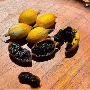 May include: Several yellow fruits with dark spots and green stems are displayed on a wooden surface. Some fruits are whole, while others are cut open, revealing a dark, pulpy interior. The fruits are oval-shaped and have a smooth texture.