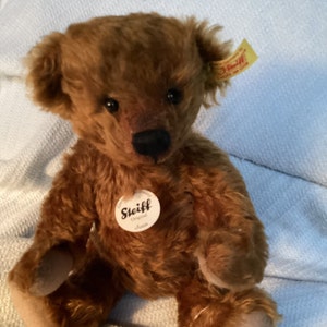 Vintage Steiff Mr. Cinnamon ~ 0151 25 ~ 10 Inch Bear - Etsy 日本