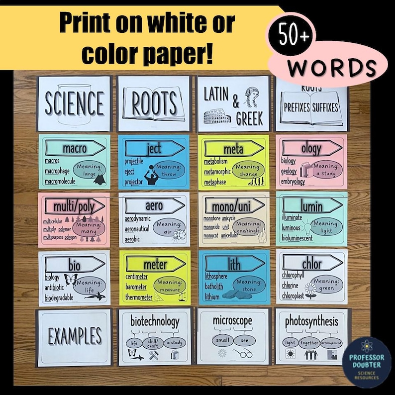 Science Bulletin Board Root Words Prefixes and Suffixes Posters and ...