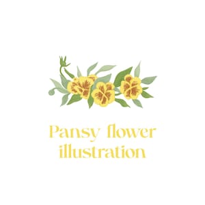 Stiefmütterchen Blume Illustration, Stiefmütterchen Clipart, Handgezeichnete Stiefmütterchen Blumenkunst