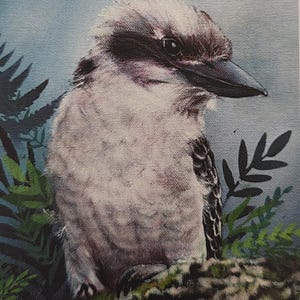 Kookaburra&#39;s Domain Greeting Card