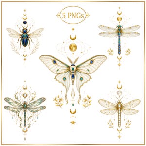 May include: A collection of five digital illustrations featuring a central moth, two dragonflies, a beetle, and another dragonfly, all adorned with celestial motifs like moons, stars, and gold filigree. The text 5 PNGs is centered at the top.