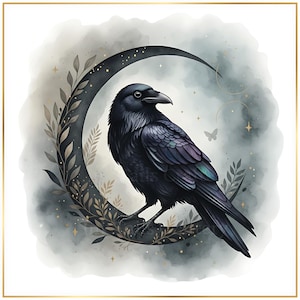 Luna de cuervo PNG, clipart de cuervo, arte de cuervo brujo, ilustración de cuervo gótico, cuervo celestial PNG, cuervo de fantasía oscura, 2 PNG