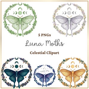 Paquete de 5 polillas lunares PNG, imágenes prediseñadas de polilla celestial, corona floral de fases lunares, arte bohemio místico PNG transparente