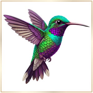 May include: A vibrant hummingbird illustration featuring iridescent green and purple feathers. The bird is depicted in mid-flight with wings extended, showcasing a long, slender beak, a dark eye, and detailed plumage patterns in shades of emerald and violet.