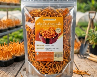 Könnte beinhalten: Ein durchsichtiger, wiederverschließbarer Kunststoffbeutel gefüllt mit getrockneten orangefarbenen Cordyceps militaris Pilzen. Das Etikett zeigt den Text 'Dried Cordyceps Militaris', '100% ORGANIC' und thailändische Schriftzeichen.