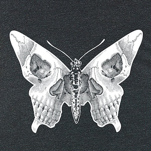 May include: A black and white illustration of a butterfly with a skull design on its wings.