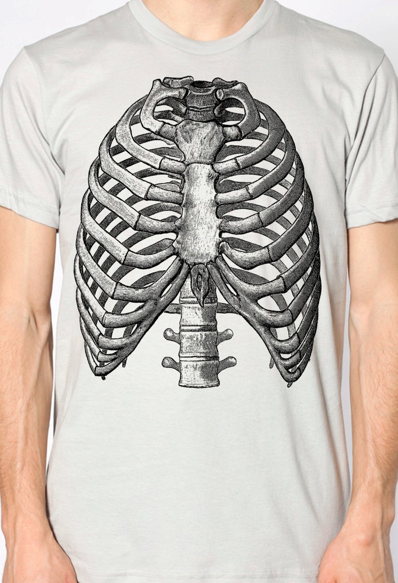 Mens Vintage Ribs Anatomy T Shirt American Apparel Silver Etsy