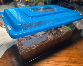 Tarantula/Scorpion/Invertebrate enclosure kit