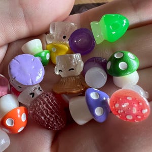 10種類の小ぶりなキノコの詰め合わせ