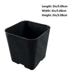 May include: A black square-shaped plant pot. The dimensions are 2 inches (5.08 cm) in length, width, and height. The pot has a simple, modern design, suitable for various plants and home decor.
