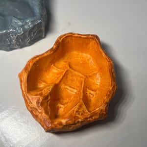 May include: An orange, rock-shaped reptile food dish with a textured surface. The dish has a shallow, open design with a leaf-like pattern on the interior. A gray dish is partially visible in the background.