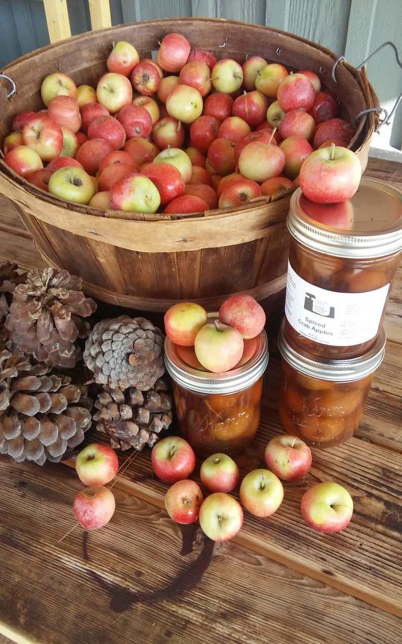 Spiced Crab Apples 16oz Delicious Vegan Food Gift for Any - Etsy UK