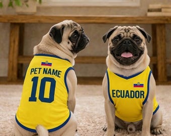 Maglia da calcio personalizzata per animali domestici dell'Ecuador, maglietta da calcio personalizzata per cani e gatti, abbigliamento sportivo per animali domestici della nazionale ecuadoriana, abbigliamento sportivo per cuccioli con nome e numero.
