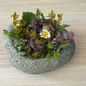 Peut inclure: Un bol en pierre grise texturée rempli de fleurs séchées et de verdure. L'arrangement comprend de petites fleurs blanches, des boutons violets et diverses nuances de feuillage vert. Le bol repose sur une surface en bois clair.