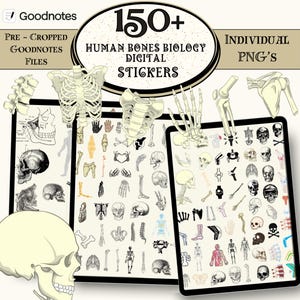 150+ botten digitale stickers, stickers menselijk lichaam, medische stickers, orthopedische stickers, stickers studeren, anatomie en fysiologie stickers