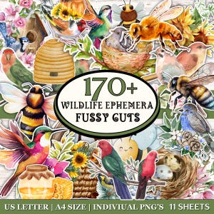 May include: A collage of watercolor illustrations featuring birds, bees, flowers, and a beehive. The image includes the text "170+ WILDLIFE EPHEMERA FUSSY CUTS". The color palette includes greens, yellows, pinks, and blues. The image is labeled "US LETTER | A4 SIZE | INDIVIUAL PNG'S 11 SHEETS".