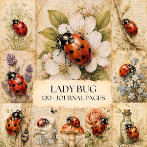 Puede incluir: Una colección de más de 120 páginas de diario con ilustraciones de estilo vintage de mariquitas, flores blancas, lavanda, rosas y setas sobre fondos de papel envejecido con el texto LADY BUG - 120+ JOURNAL PAGES en el centro.