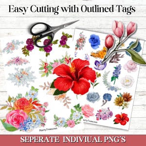 May include: A collection of floral PNG images featuring various flowers in shades of red, pink, blue, and purple. The image includes a pair of scissors and the text "Easy Cutting with Outlined Tags" and "SEPERATE INDIVIUAl PNG'S".
