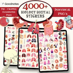 May include: Digital biology stickers for Goodnotes, with over 4000 PNG images of human anatomy and medical illustrations. Includes pre-cropped files. The image displays various organs and medical symbols.