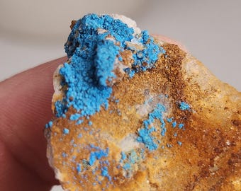 May include: A raw mineral specimen featuring a textured, golden-brown rock base with vibrant, bright blue crystalline clusters concentrated on the upper surface. The mineral displays a rough, natural surface with distinct color contrast.