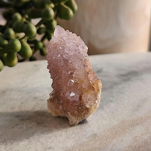 Spirit Quartz Crystal | Amethyst Cactus Quartz Cluster