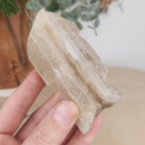 May include: A natural, raw crystal in a light beige hue, featuring a rough, textured surface. The crystal displays a layered structure with darker brown inclusions. Its irregular, organic form indicates it's an unpolished, natural specimen. The crystal is held in a hand.