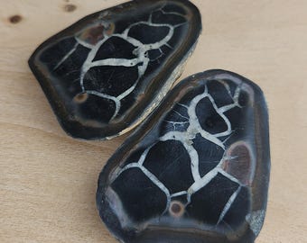 ドラゴンの卵のセプタリアン結節と黒方解石の結晶/ドラゴンストーン