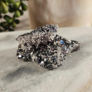 Galenit mit Pyrit | Galenit Pyrit Specimen