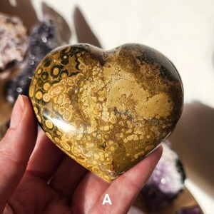 May include: A heart-shaped stone with a mottled pattern of brown, tan, and green. The stone is held in a hand, with other stones visible in the background. The stone has a polished, glossy finish.