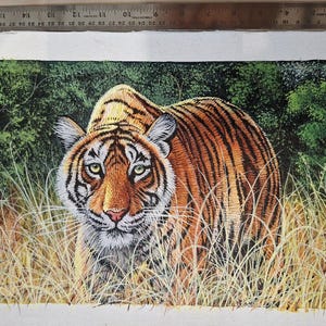 May include: A detailed painting of a tiger in a grassy field. The tiger has orange and black stripes, with a white face and chest. The background features green foliage and tall, dry grass.