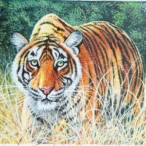 May include: A detailed painting of a tiger in a natural habitat. The tiger has orange and black stripes, green eyes, and is partially obscured by tall, yellow grass. The background features green foliage.