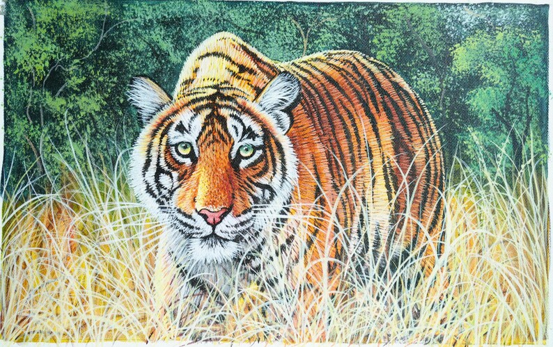 May include: A detailed painting of a tiger in a natural habitat. The tiger has orange and black stripes, green eyes, and is partially obscured by tall, yellow grass. The background features green foliage.