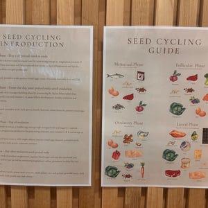 Op de afbeelding: Twee informatieve posters op een houten achtergrond. De linkerposter heeft de titel "SEED CYCLING INTRODUCTION" en de rechterposter heeft de titel "SEED CYCLING GUIDE". De gids bevat illustraties van voedsel.