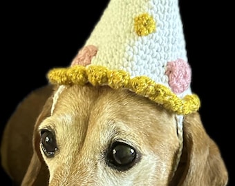 May include: A brown and tan dachshund wearing a white crocheted party hat with yellow and pink accents. The hat has a yellow pom-pom on top.