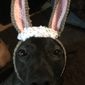 Easter bunny Hat for dogs/crochet hat/dog dress up/Easter bonnet/pet clothing/dog hats